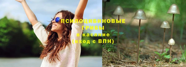 ешки Кукмор