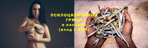 ешки Кукмор